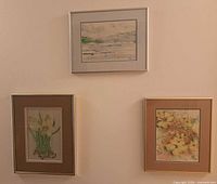 Three framed Roslyn Levin watercolours on wall