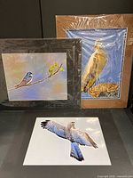 All three Bruce Johnson wildlife photographs displayed together