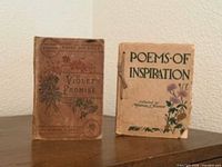 Front view of both books showing titles and cover designs
