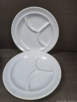 Both blue segmented plates front view