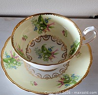 Teacup on saucer showing exterior pattern and gold trim