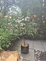 Full view of artificial orange tree standing in black pot on patio