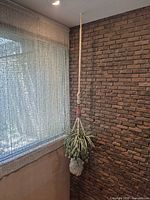 Full view of hanging planter from ceiling to tassel