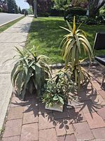 All three artificial plants on patio showing relative size and condition