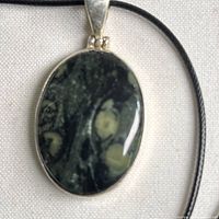 Front view of oval kambaba jasper pendant in sterling setting on black cord
