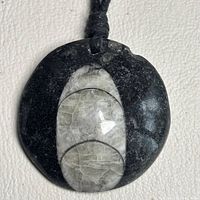 Front view of black stone pendant with Orthoceras fossil