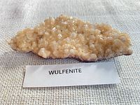 Front view of wulfenite crystal cluster labeled WULFENITE