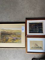 Front view all three framed paintings