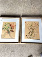 Both framed botanical watercolors side by side