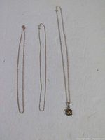 Three sterling silver necklaces laid out to show lengths and turtle pendant.