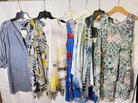 Seven garments hanging on hangers showing full lot contents