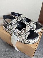 Side view of snake pattern double-strap sandals on box with tag