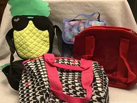 Group shot of five assorted lunch bags