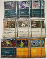 Front view showing all 14 sleeved Pokemon cards in three rows