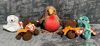 All five Ty Beanie Babies lined up to show variety and tags