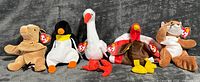 Group shot of all five Ty Beanie Baby plush animals