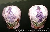 Front view showing foxglove design on both shakers