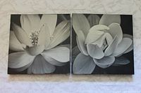 Front view of both black & white floral canvas prints