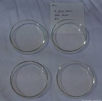 Four clear glass Petri dishes displayed top-down on cloth background