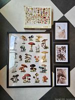 Poster, three framed photos, and puzzle box displayed together