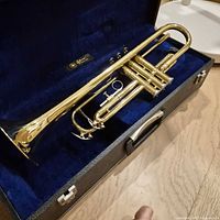 Trumpet in blue-lined hard case