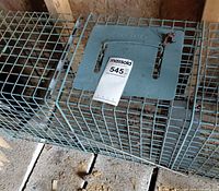 Full view of teal galvanized wire animal trap showing brand plate and overall condition