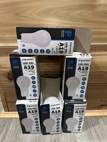 Front view of seven Standard LED A19 bulb boxes, six closed and one open