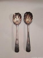 Front view of both shell-bowl spoons