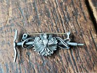 Front view of brooch on wood surface