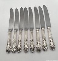 All eight Reed & Barton Tiger Lily dinner knives aligned