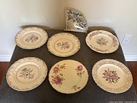 All seven display plates arranged: six round floral Johnson Bros plates and one fan-shaped plate