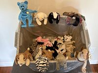 Overall lot view showing bin containing multiple Ty Beanie Babies, several displayed on rim and front.