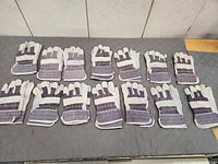 All 14 pairs of gloves laid out