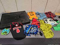 overview of tray and assortment of dog clothes and harness