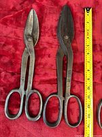 Pair of largest shears side by side with tape measure