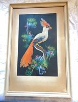 Full view of framed feather bird collage