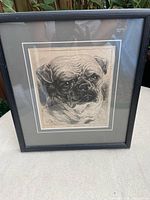 Framed engraving showing full view of pug portrait in black frame