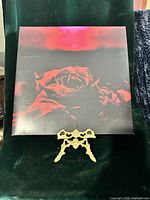 Front sleeve with rose artwork on display stand
