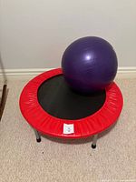 Mini trampoline with exercise ball on top