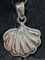 Front view of silver scallop shell pendant showing ridged design and bail