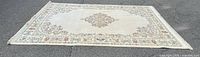 Full rug view laid flat showing overall pattern and size