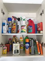 Open cabinet showing all chemical containers on two shelves