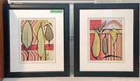 Both framed botanical prints side by side showing frames, mats, glazing