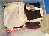 Clear bin showing folded lingerie pieces in various colors including ivory, black, burgundy, red print; brand tag visible on black camisole