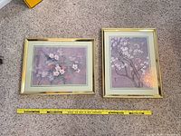 Both framed floral prints side by side with measuring tape indicating size
