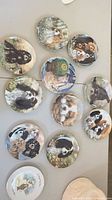 Overview of approximately 12 plates laid out on table