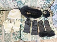 All six winter accessories laid out: beanie, collar scarf, earmuffs, three glove pairs