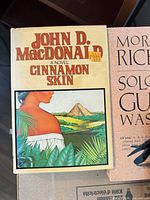Front cover of Cinnamon Skin showing dust jacket