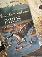 Front cover of Water, Prey, and Game Birds of North America