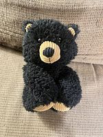 Front view of black plush bear showing corduroy muzzle, ears and paws